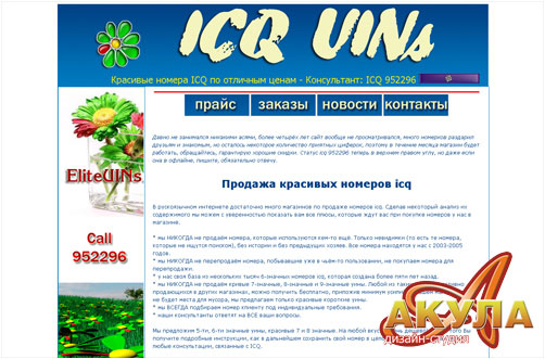 Интернет магазин - ds-akula.ru