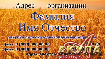 Макет визитки - закупка организацией сельхозпродукции - ds-akula.ru